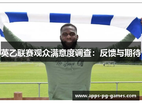 英乙联赛观众满意度调查：反馈与期待