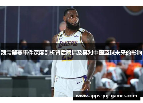 魏震禁赛事件深度剖析背后隐情及其对中国篮球未来的影响